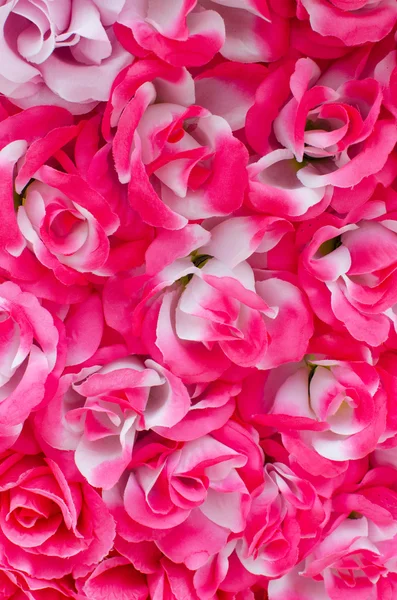 艳丽的粉红色玫瑰花背景 — 图库照片