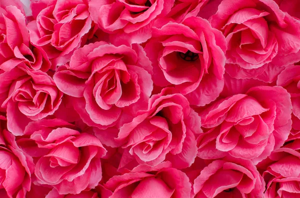 艳丽的粉红色玫瑰花背景 — 图库照片
