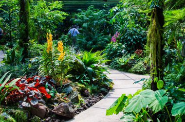 Bahçe ile geçit yolu