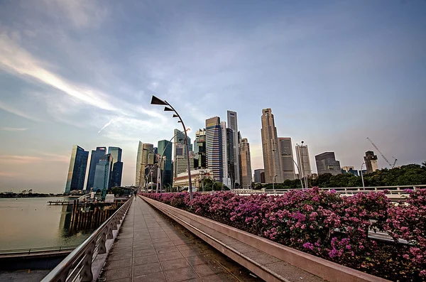 Caminho a pé com o fundo do edifício da cidade de Singapura — Fotografia de Stock