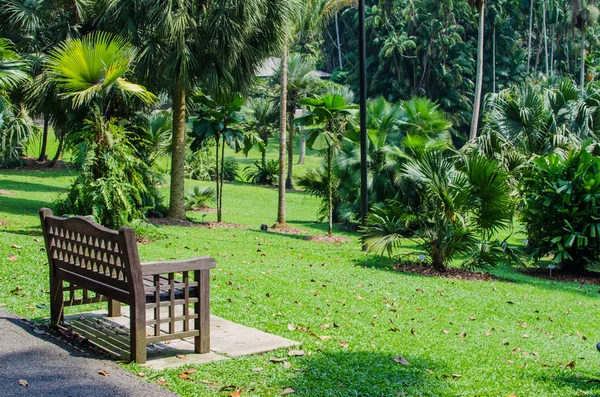 Banc en bois brun relax dans le jardin — Photo