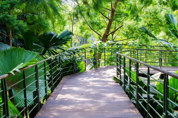 Wandeling manier pad door de tuin — Stockfoto