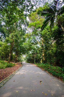 Bahçe ile yürüyüş yolu yolu