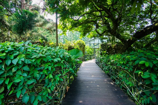 Sentiero a piedi attraverso il giardino — Foto Stock