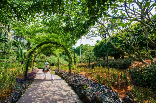 Promenad sätt väg genom trädgården — Stockfoto