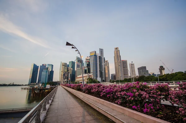 Caminho a pé com o fundo do edifício da cidade de Singapura — Fotografia de Stock