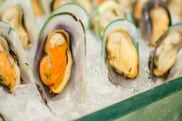 Mejillones frescos en bandeja de hielo —  Fotos de Stock