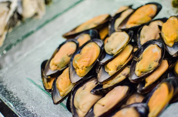 Mejillones frescos en bandeja de hielo para catering buffet —  Fotos de Stock