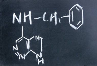 cytokinin kimyasal yapısı ile Tebeşir tahtaya yazılan