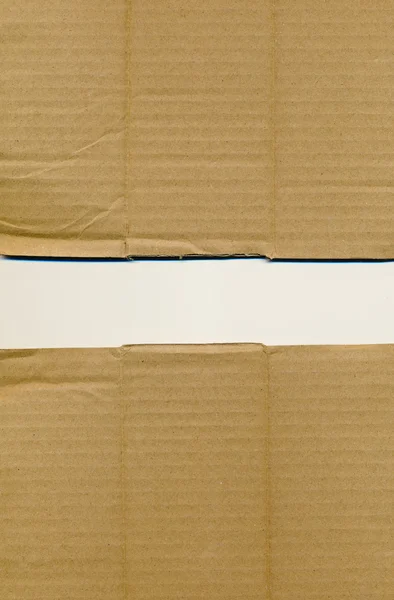 Ambalaj yönetim kurulu