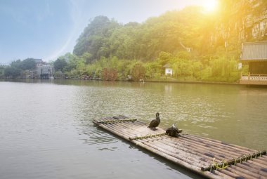 karabatak ve bambu Sal