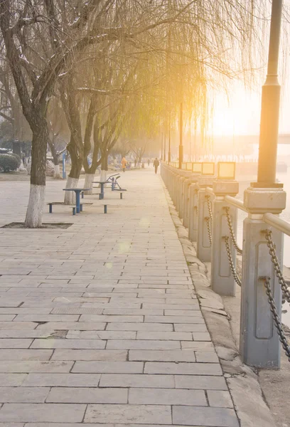 River bank park — Stock Photo, Image