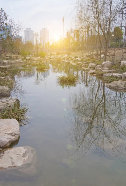 Parque da cidade — Fotografia de Stock