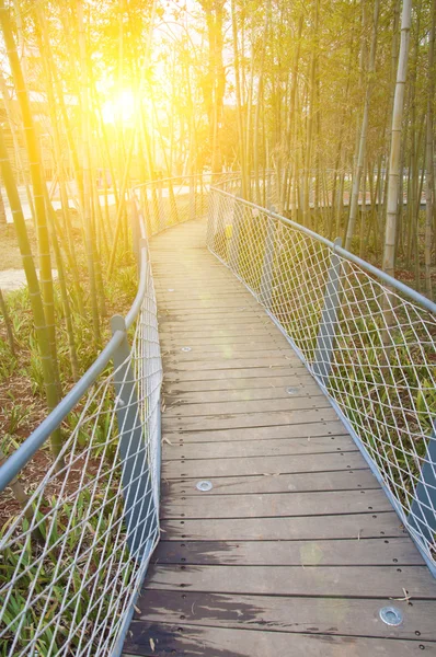 Park Eisenkettenbrücke im Bambuswald — Stockfoto