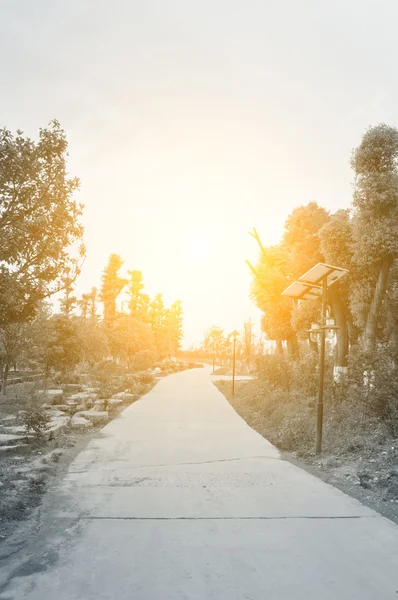 Yol kenarında güneş lambası — Stok fotoğraf