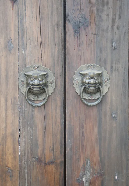 Lion-type knocker — Stock Photo, Image