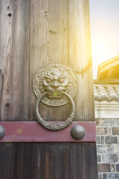 Lion-type knocker — Stock Photo, Image