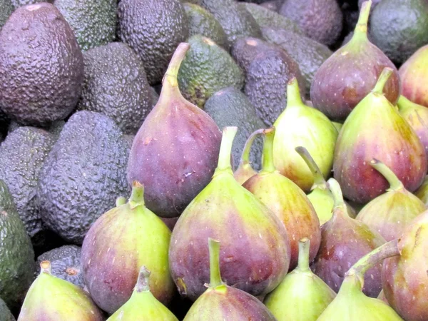 Tel Aviv ferske fikener og avokado 2013 – stockfoto