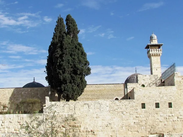 Jerusalém Al-Aqsa Mesquita cipreste 2012 — Fotografia de Stock