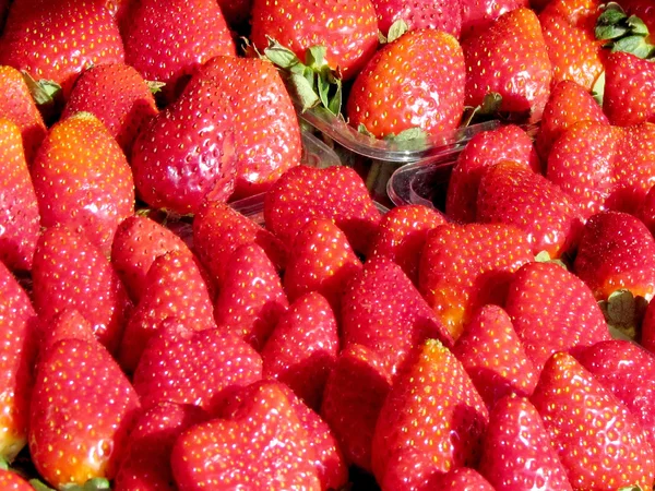 Tel Aviv strawberry 2012 — Stock Photo, Image