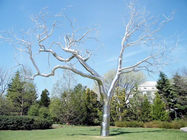 Ουάσιγκτον ασημί δέντρο 2010 — Φωτογραφία Αρχείου
