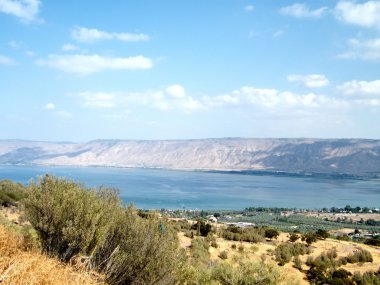 Celile Denizi 2010