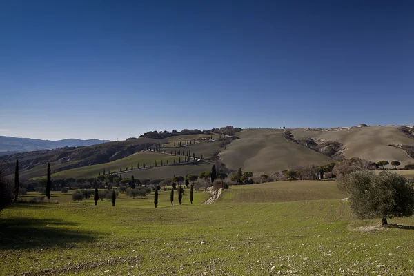 Tuscany Val d'Orcia Landscape — Stock Photo, Image