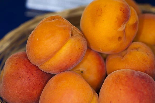 イタリア アプリコットの果実を入力 Soledane メタポント (メイトで栽培 — ストック写真