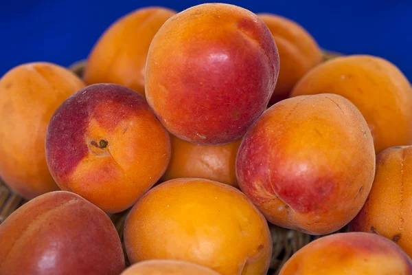 Fruits of Italy apricots type Magic cot grown in Metaponto (Mat — Stock Photo, Image