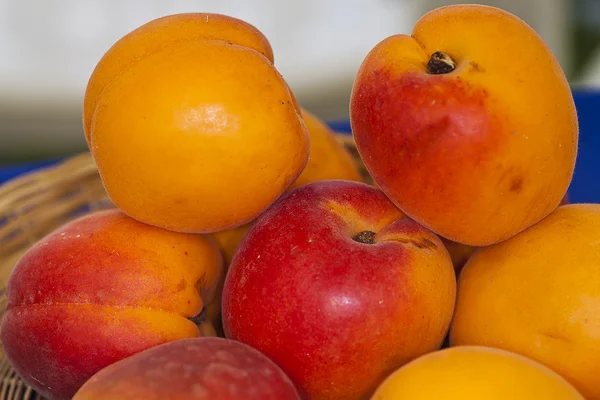 Fruits of Italy apricots type Pinkcot grown in Metaponto (Mater — Stock Photo, Image