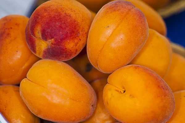 イタリア アプリコットの果実オレンジ赤メタポント (Ma で栽培を入力します。 — ストック写真