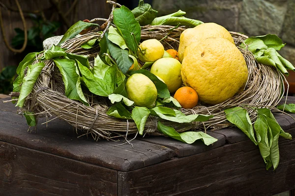 Still life of citrus ischia — Stock Photo, Image