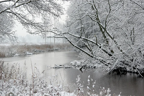 Зима-2 — стоковое фото