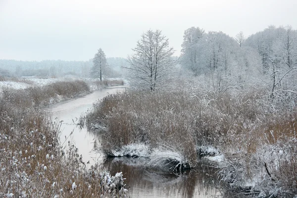 Invierno —  Fotos de Stock