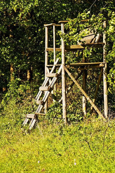 Hunting stand Stock Picture