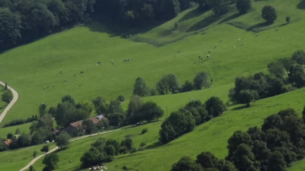 Vista de olhos de pássaro para pastos com casa de fazenda — Vídeo de Stock