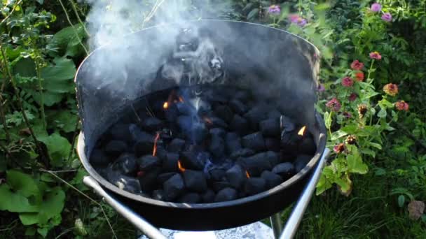 Churrasco — Vídeo de Stock