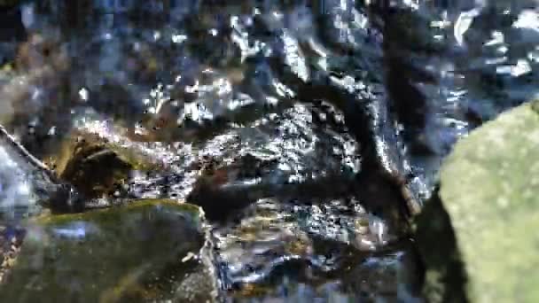 Creek in zonlicht — Stockvideo