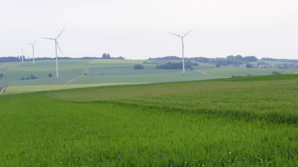 Windräder — Stockvideo