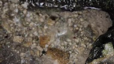 dere ile görünür yere