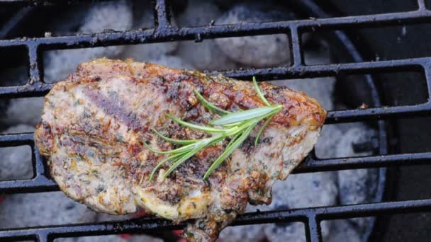 Churrasco com carne — Vídeo de Stock