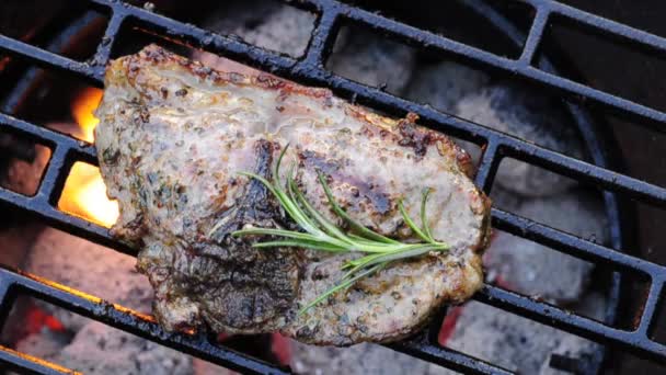 Barbacoa con carne — Vídeo de stock