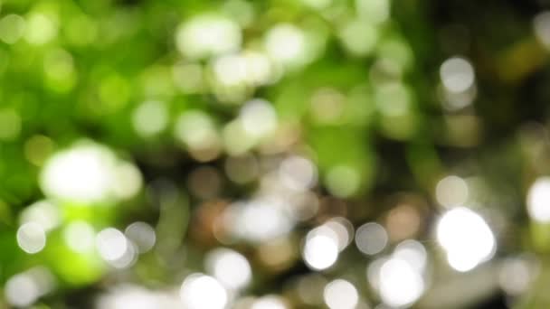 Les reflets du soleil dansent dans l'eau 
