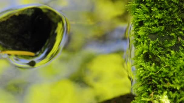 Вода в зеленом свете — стоковое видео