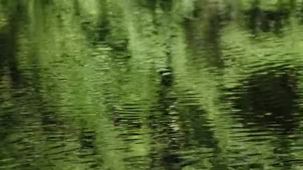 Vagues d'un lac 