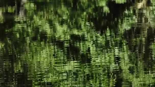 Wellen eines Sees — Stockvideo