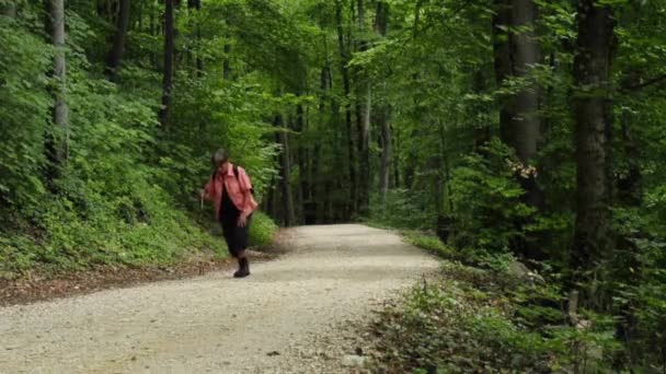 La nonna vaga per la foresta. — Video Stock