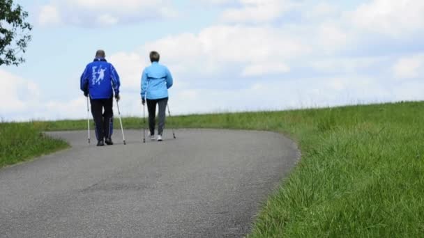 Stavgångpro nordic walking — Stockvideo