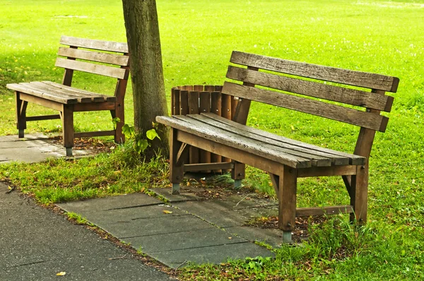 Park benchs in a park — Stock Photo, Image