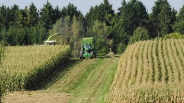 ekip çalışması içinde mısır hasat